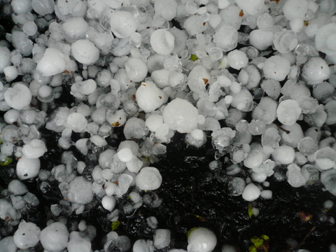 hail1.jpg